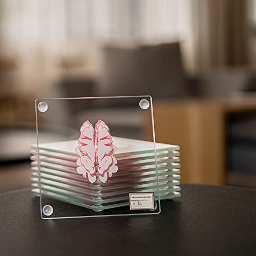 Medical Brain Specimen Coasters Set of 10 - Human Anatomy Neuroscience Gift - Variation of 10