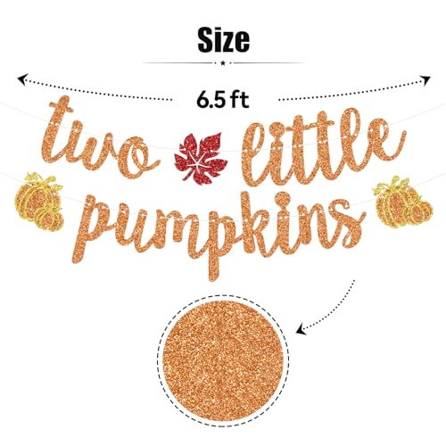 Twins Pumpkin Birthday Banner - Fall Halloween Baby Shower Decorations