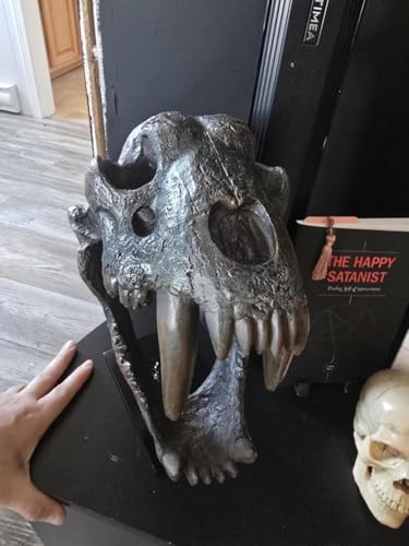 Museum-Quality Saber-Toothed Tiger Skull Replica - Prehistoric Fossil Decor Model