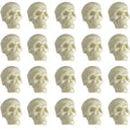 Halloween Skull Decorations - 20 Realistic Plastic Human Skeleton Heads 0.8 x 0.9 x 1.4 Inches - Variation of THIS listing