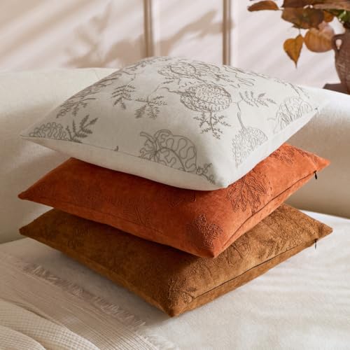 Zealax 20x20 Inch Fall Pumpkin Embroidered Pillow Covers - Beige, Pack of 2
