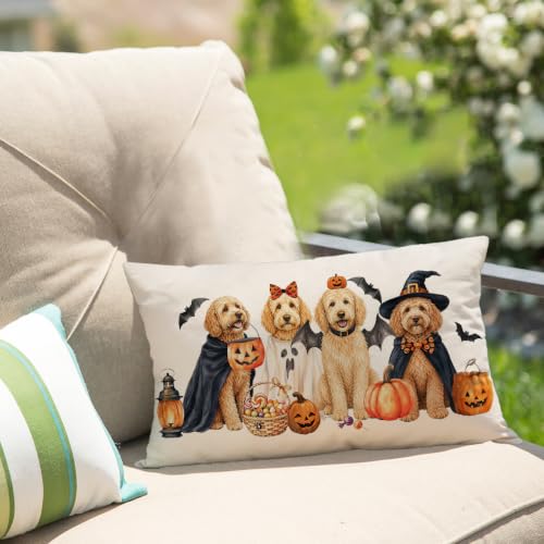 Halloween Pillow Cover 12x20 Ghost Witch Golden Poodle Variation Decorative Throw Pillowcase