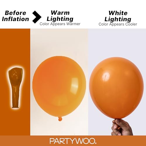 Orange Fall Color Balloons Set - 120pcs Burnt Orange Latex Party Supplies with Variation F53