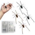 3D Spider Fridge Magnet Set - Realistic Cute Removable Magnetic Decals, Black, 4 Pack – Spider Variation