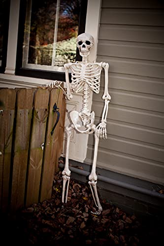 Pose-N-Stay Life-Size Halloween Skeleton - 5 FT, Realistic, Fully Poseable - Crazy Bonez