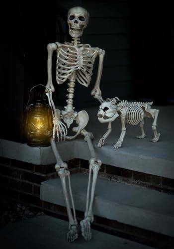 Pose-N-Stay Life-Size Halloween Skeleton - 5 FT, Realistic, Fully Poseable - Crazy Bonez