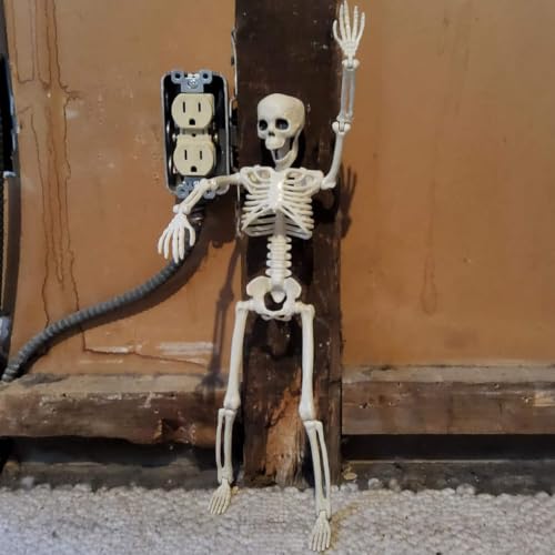 16-Inch Plastic Full Body Skeleton Halloween Decoration - Posable Hanging Skeleton for Haunted House & Graveyard Props