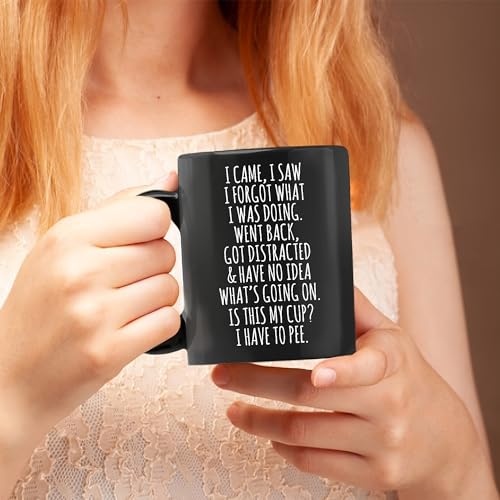 I Came I Saw I Forgot What I Was Doing Funny Coffee Mug - Black 11oz