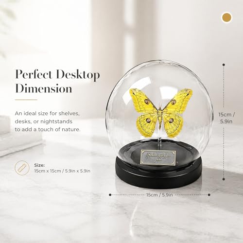 Loepa Butterfly Glass Globe Ornament - Real Winged Butterfly Aesthetic Decor for Bedroom & Desk