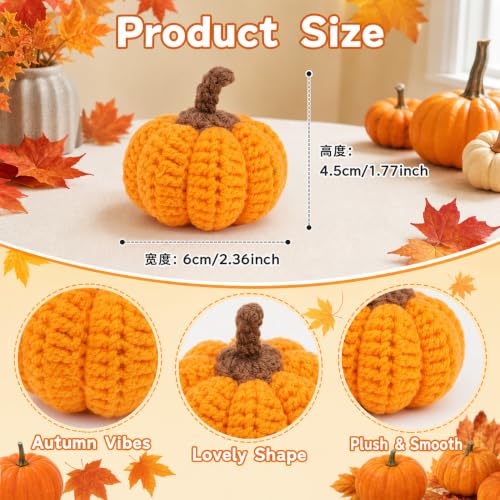 Set of 12 Crochet Mini Pumpkins for Fall Thanksgiving Halloween Decor