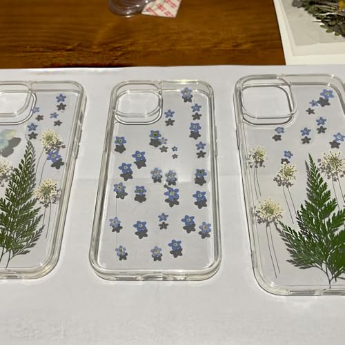 60 Pcs Natural Dried Forget Me Not Flowers for Jewelry Crafts Candle Making & Home Decor