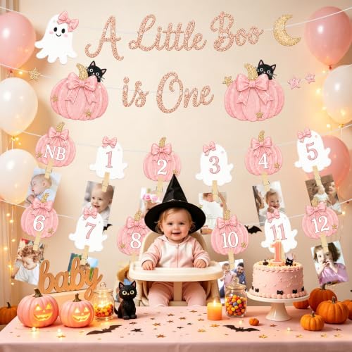 Pink Pumpkin Ghost First Birthday Photo Banner - Variation of THIS Listing