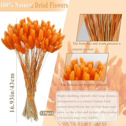 Orange Dried Rabbit Tail Flowers - Natural Handmade Decor, 120PCS