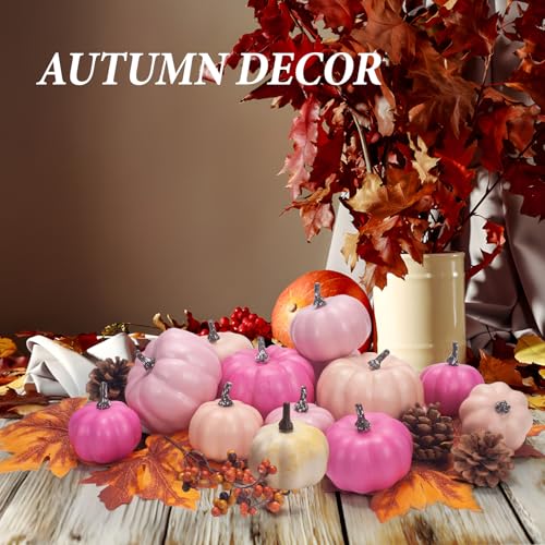 Pink Fall Pumpkin Decor Set - 22 pcs Autumn Harvest Wreath & Table Decorations (Assorted Pink)