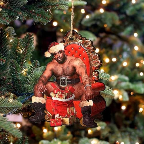 Funny Christmas Ornaments 2025 Wooden Holiday Tree Decorations Indoor & Outdoor