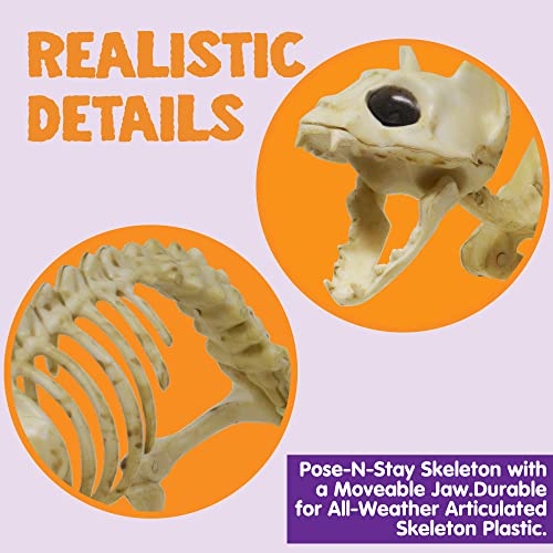 Halloween Skeleton Animal Decorations Set - Skeleton Cat and Mouse for Indoor Outdoor Parties