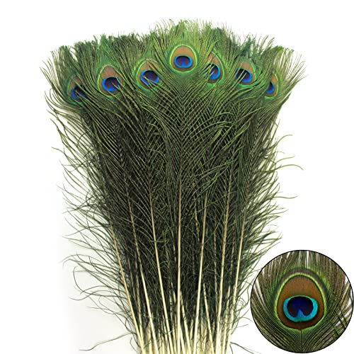 Natural Peacock Feathers 35-40 Inch Bulk 24pcs for Wedding & Craft Decor - Variation of 35-40Inch-24pcs
