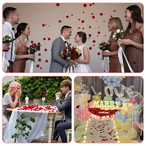 Artificial Rose Petals for Wedding & Party Decorations - 2200PCS Big Red Dot Black Variation