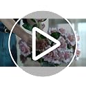 Dark Blue Artificial Roses 20PCS Long Stem Silk Flowers for Vase Indoor Outdoor Decor