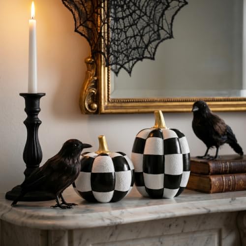 Black and White Checkered Pumpkins with Gold Stem - Resin Halloween Decor Set of 2