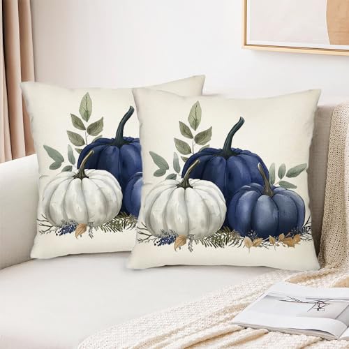 Blue Fall Pumpkin Pillow Covers Set of 2 - 18x18 Inch Autumn Decor
