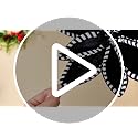 Artificial Christmas Poinsettia Flowers Set - Black & White, 12 Pack