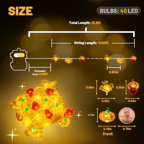 Orange Pumpkin with Maple & Acorn Halloween Lights - 40 LED Battery-Operated with Timer & Remote