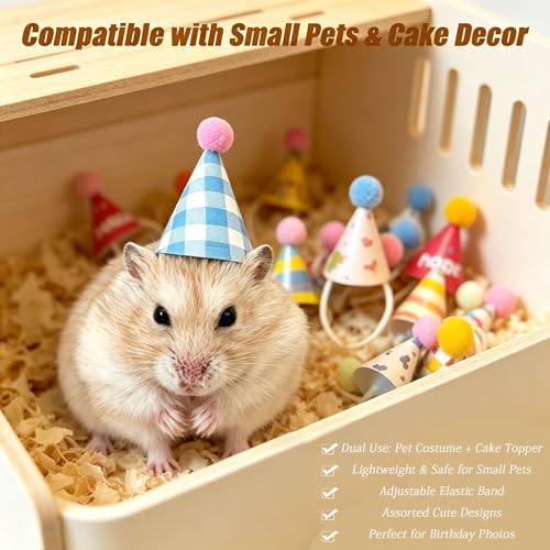 Mini Birthday Party Hats for Small Animals & Toys - 50 pcs