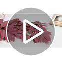 Artificial Fall Garland - 6.66 ft Brown Eucalyptus Vines with Adhesive Hooks - 1 Piece