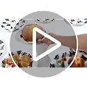 Black Cat Birthday Party Paper Plates 9 Inch Disposable Set - 50 Pieces