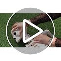 5 FT Life Size Skeleton Halloween Decoration with Posable Limbs