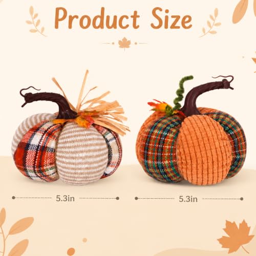 Fall Pumpkin Decor Set of 2 - Harvest Thanksgiving Farmhouse Autumn Decorations