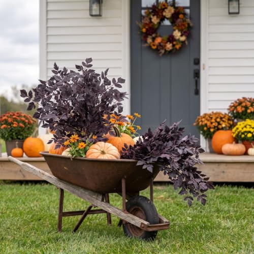 Fall Floral Stems - Deep Purple Artificial Cimicifuga Foliage for Halloween & Thanksgiving Decor - 30 Inch, 2 Pack