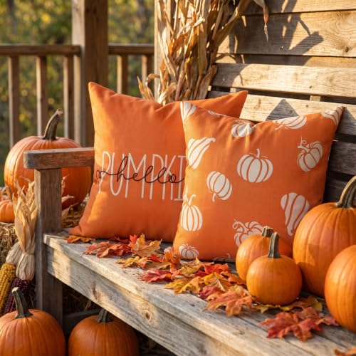 Fall Throw Pillow Covers 20x20 Set of 2 Pumpkin & Hello Pumpkin Designs - Farmhouse Decor