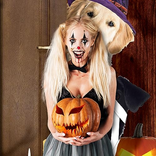 Halloween Dog Door Banner Decor - Trick or Treat Party Backdrop