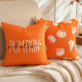Fall Throw Pillow Covers 20x20 Set of 2 Pumpkin & Hello Pumpkin Designs - Farmhouse Decor