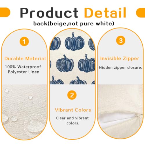 Outdoor Pillow Covers 18x18 Waterproof Blue Pumpkin Set of 2 Fall Decor