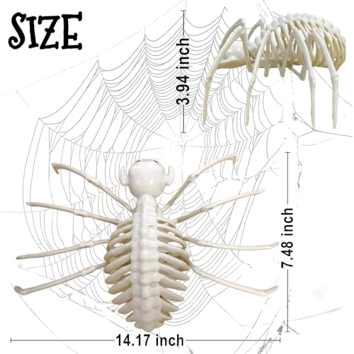 Halloween Skeleton Spider Prop - Realistic Plastic Skeleton Creature for Spooky Decor