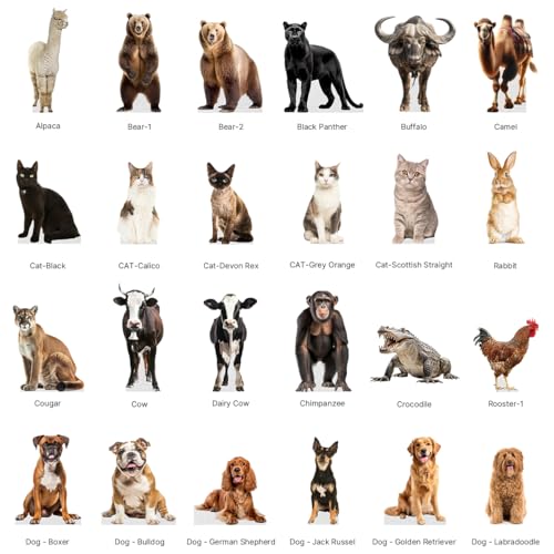 Life Size Wolf Cardboard Cutout Standee - Feline & Animal Support Decor