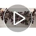2 Pack Fall Garland - Artificial Autumn Leaves with Faux Plum for Fireplace Mantel & Home Decor