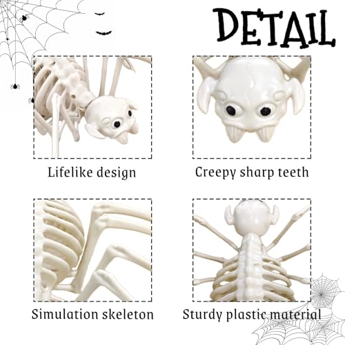 Halloween Skeleton Spider Prop - Realistic Plastic Skeleton Creature for Spooky Decor