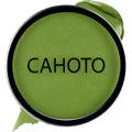 Light Green Water-Based Face & Body Paint for Cosplay & Makeup