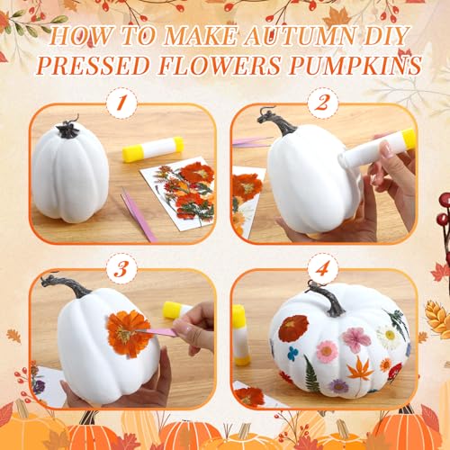 Fall Craft Pumpkin & Dried Flower DIY Kit - Orange White Green, 12 Pcs