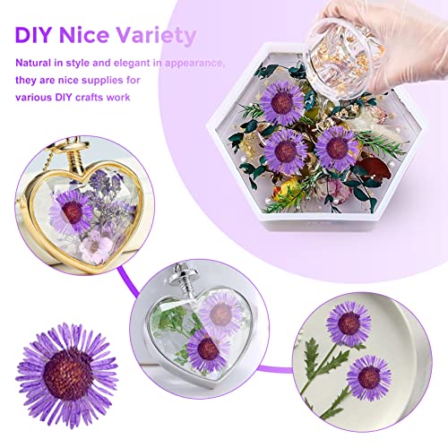 Purple Needle Chrysanthemum Flowers for Resin Jewelry & Craft - 60PCS, Variation: Needle Chrysanthemum-Purple