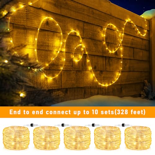Outdoor Rope Lights 33ft 100 LEDs Warm White Waterproof & Connectable