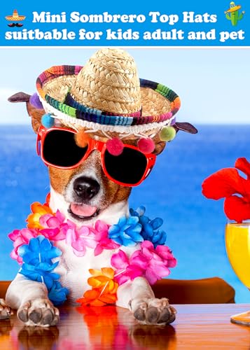 Mini Mexican Fiesta Hat Set - Straw Sombrero Headbands for Kids Adults Pets, 24 Pieces