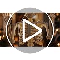 36-Inch Solar Halloween Skeleton with Metal Stake & 16-LED Warm Lights - Variation of 1P-36"