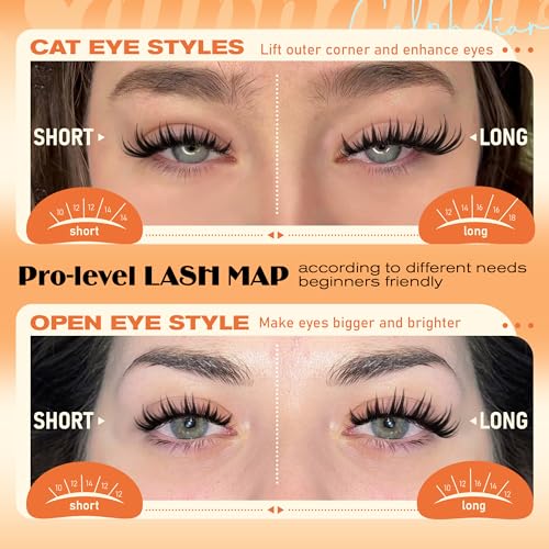 C-Bunny Wispy Lash Clusters - D-Curl Individual False Eyelashes 10-18mm, Light & Fluffy, DIY Cat Eye & Open Eye Looks