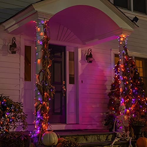 20 Ft 60 LED Copper Wire Fairy Lights & 100Ft Purple Orange String Lights - Battery Operated, Waterproof for Indoor Outdoor Decor