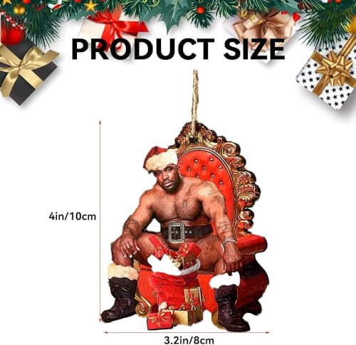 Funny Christmas Ornaments 2025 Wooden Holiday Tree Decorations Indoor & Outdoor
